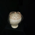 Vintage Lace & Net Cocktail Hat / Fascinator with Veil